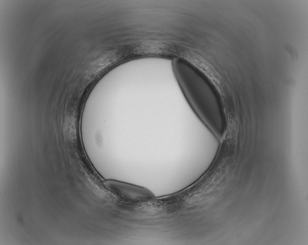X0000112050489200909010945