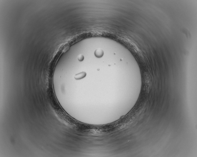X0000112050496200909010945