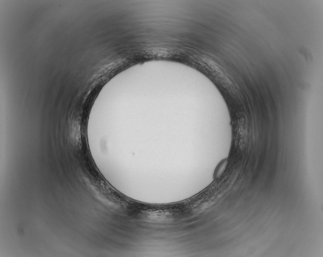 X0000112050500200909010945