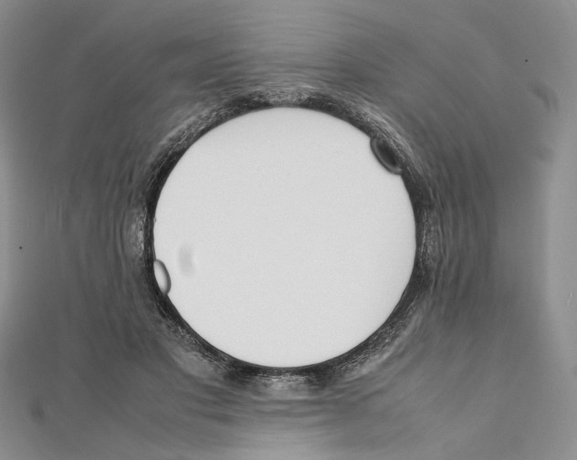 X0000112050501200909010945
