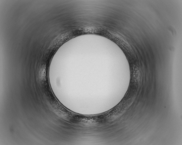 X0000112050502200909010945