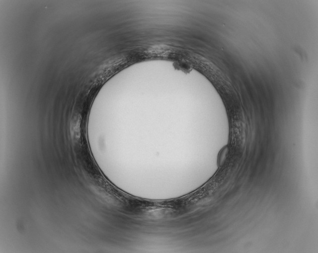X0000112050504200909010945