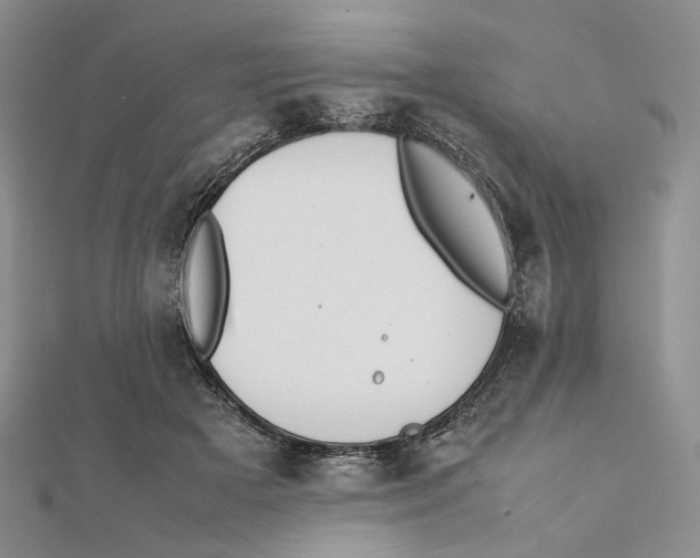 X0000112050505200909010945