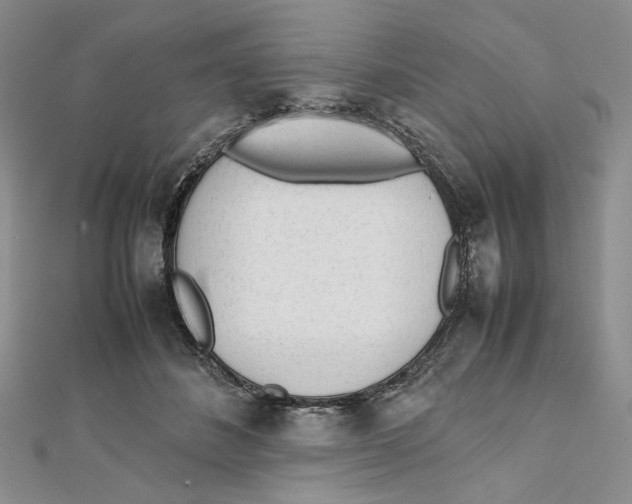 X0000112050508200909010945