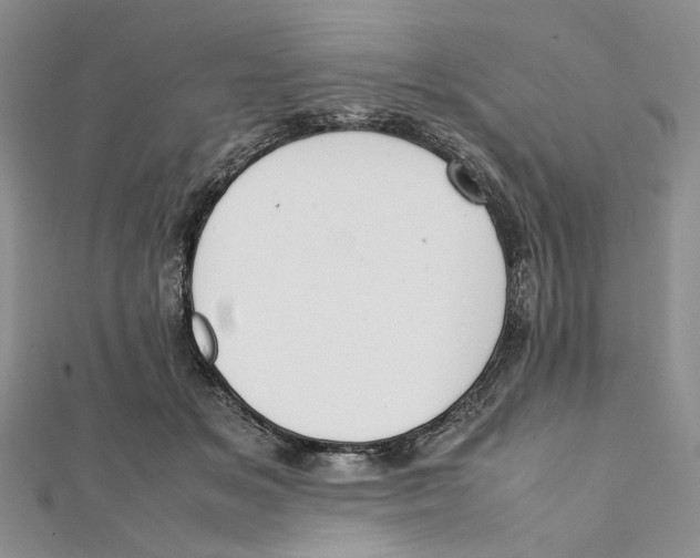 X0000112050509200909010945