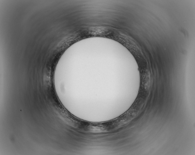 X0000112050510200909010945