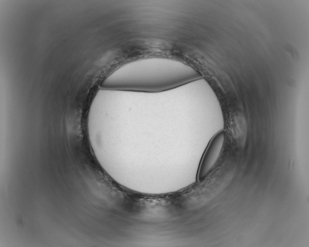 X0000112050512200909010945