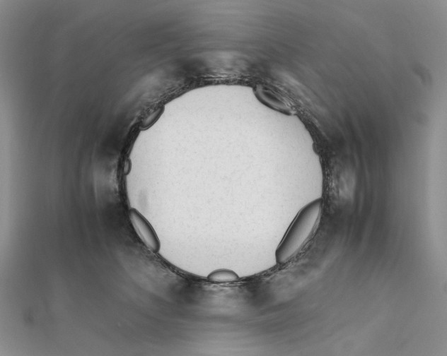 X0000112050516200909010945