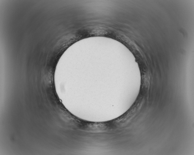 X0000112050517200909010945