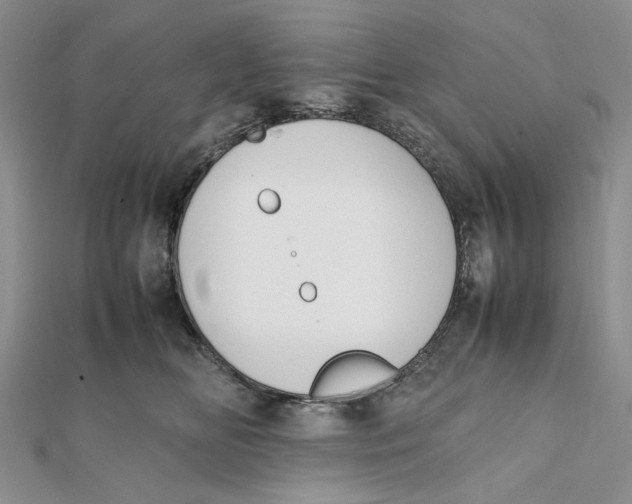 X0000112050518200909010945