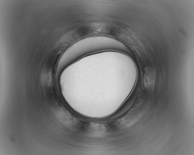 X0000112050520200909010945