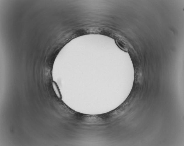 X0000112050521200909010945