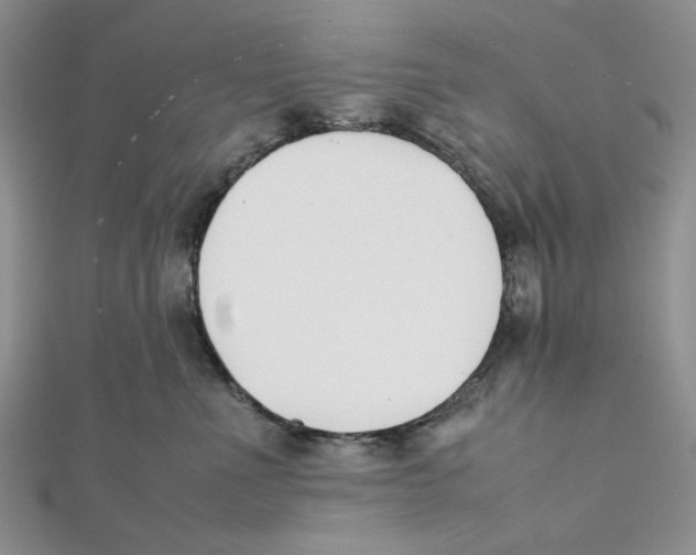 X0000112050523200909010945