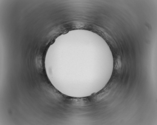 X0000112050524200909010945