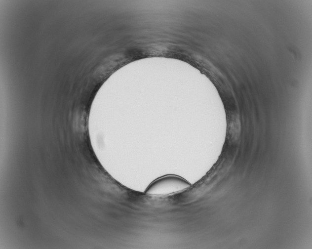 X0000112050525200909010945
