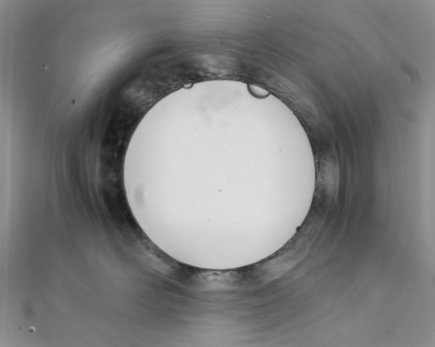 X0000112050526200909010945