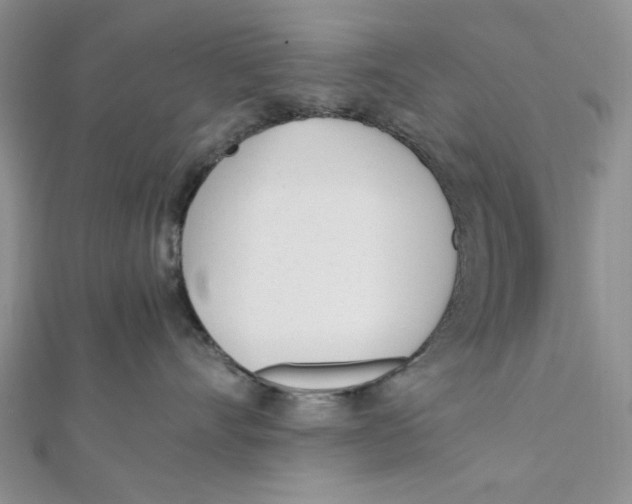 X0000112050528200909010945