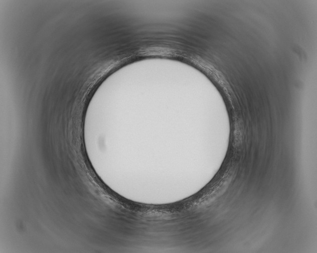 X0000112050529200909010944