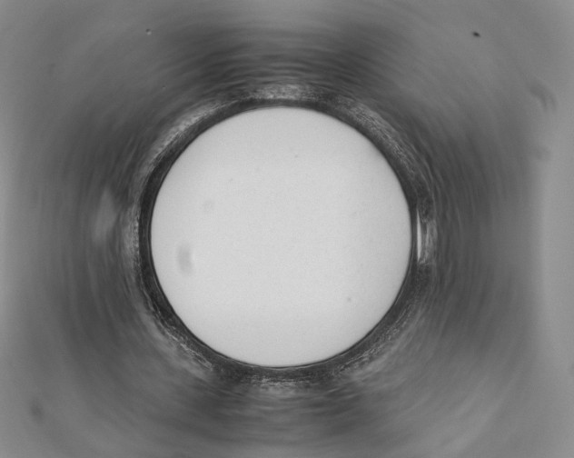 X0000112050531200909010944