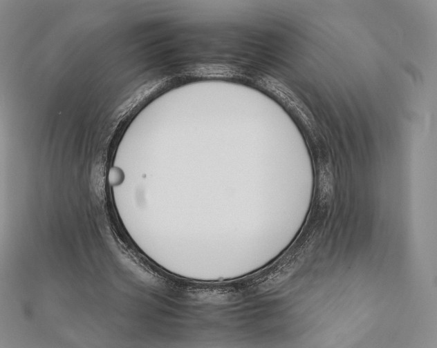 X0000112050533200909010944