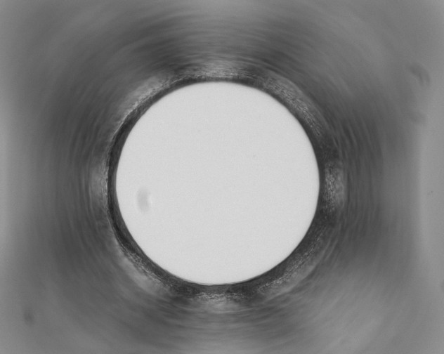 X0000112050534200909010944