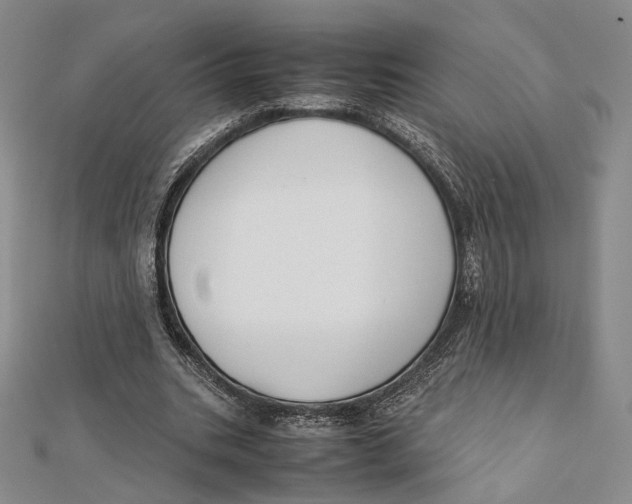 X0000112050535200909010944