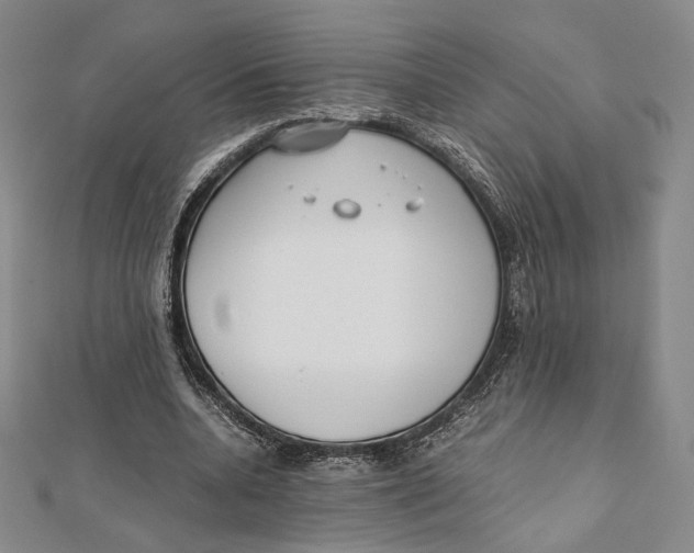 X0000112050536200909010944