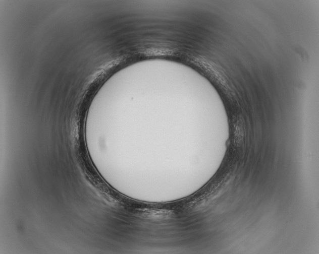 X0000112050539200909010944