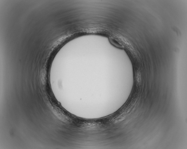 X0000112050540200909010944
