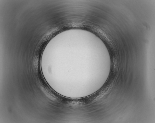 X0000112050542200909010944