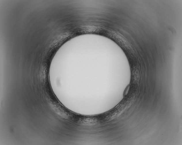 X0000112050546200909010944