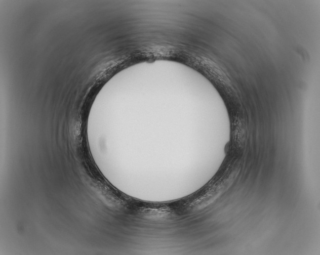 X0000112050548200909010944