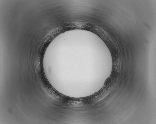 X0000112050552200909010944
