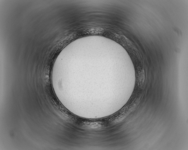 X0000112050553200909010944