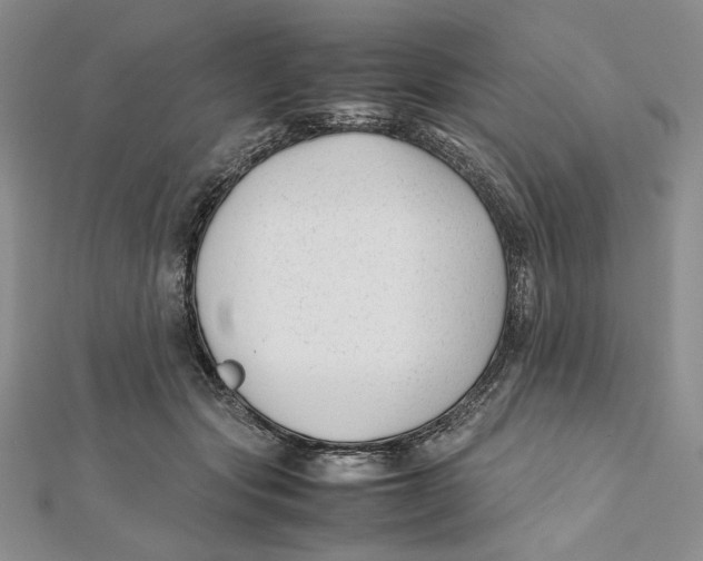 X0000112050557200909010944