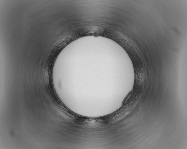 X0000112050558200909010944