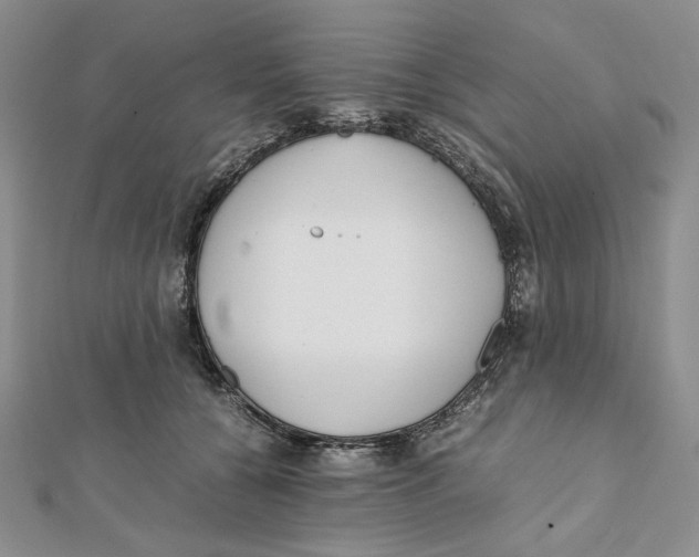 X0000112050560200909010944