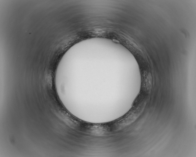 X0000112050562200909010944