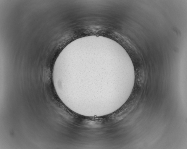 X0000112050563200909010944