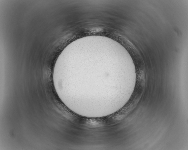 X0000112050565200909010944
