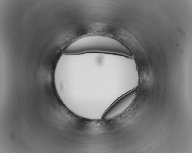 X0000112050566200909010944