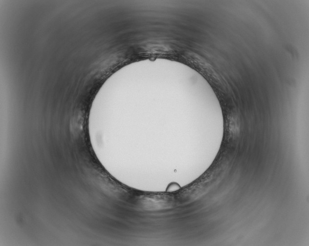 X0000112050567200909010945