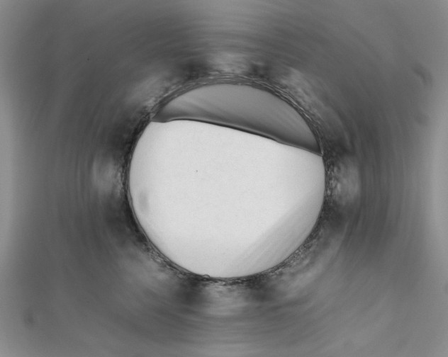X0000112050568200909010945