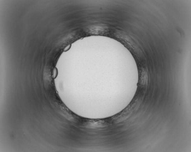 X0000112050569200909010945