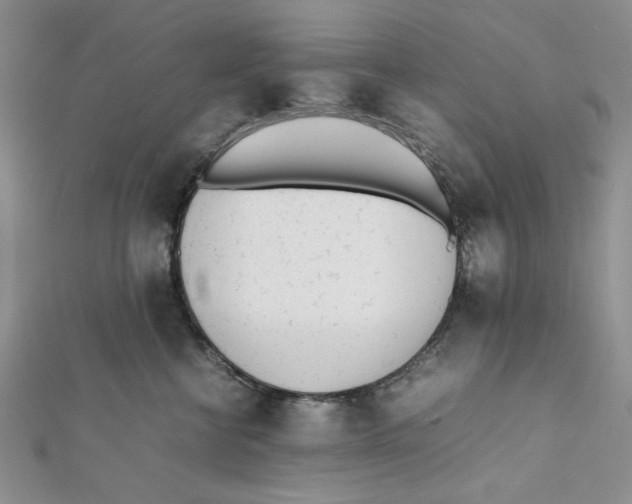 X0000112050570200909010945