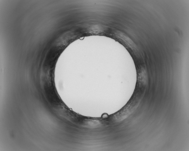 X0000112050572200909010945