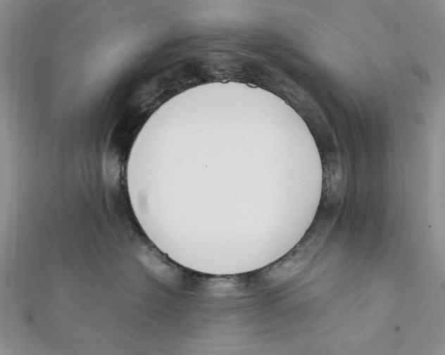 X0000112050574200909010945