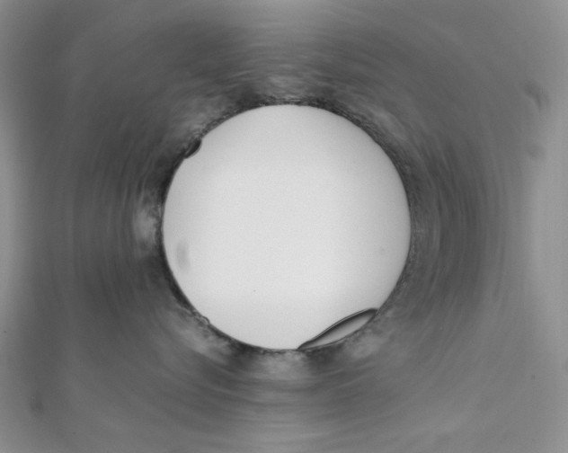 X0000112050576200909010945