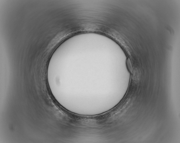X0000112050577200909010944