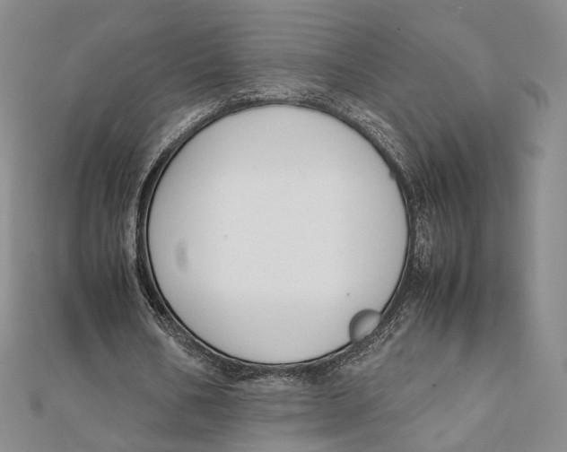 X0000112050578200909010944